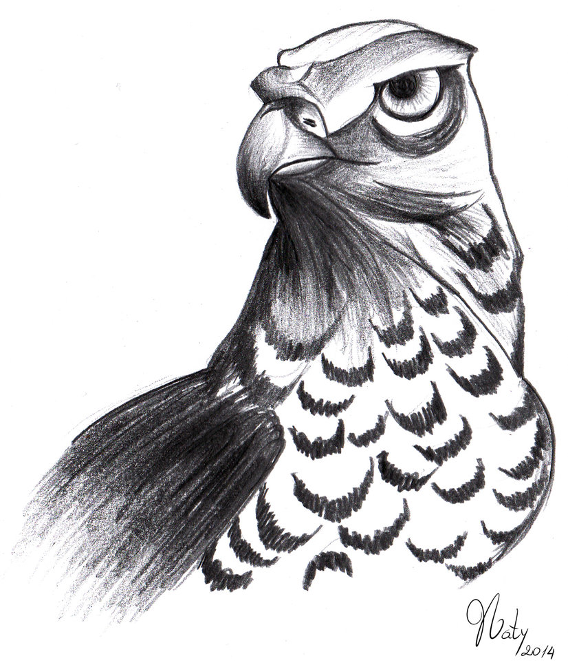 826x966 Halcon 2 A Carboncillo