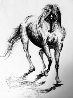 236x314 My First Attempt