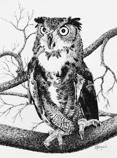 236x319 Owl Drawing. Done With Charcoal Amp Graphite My Craft (Art