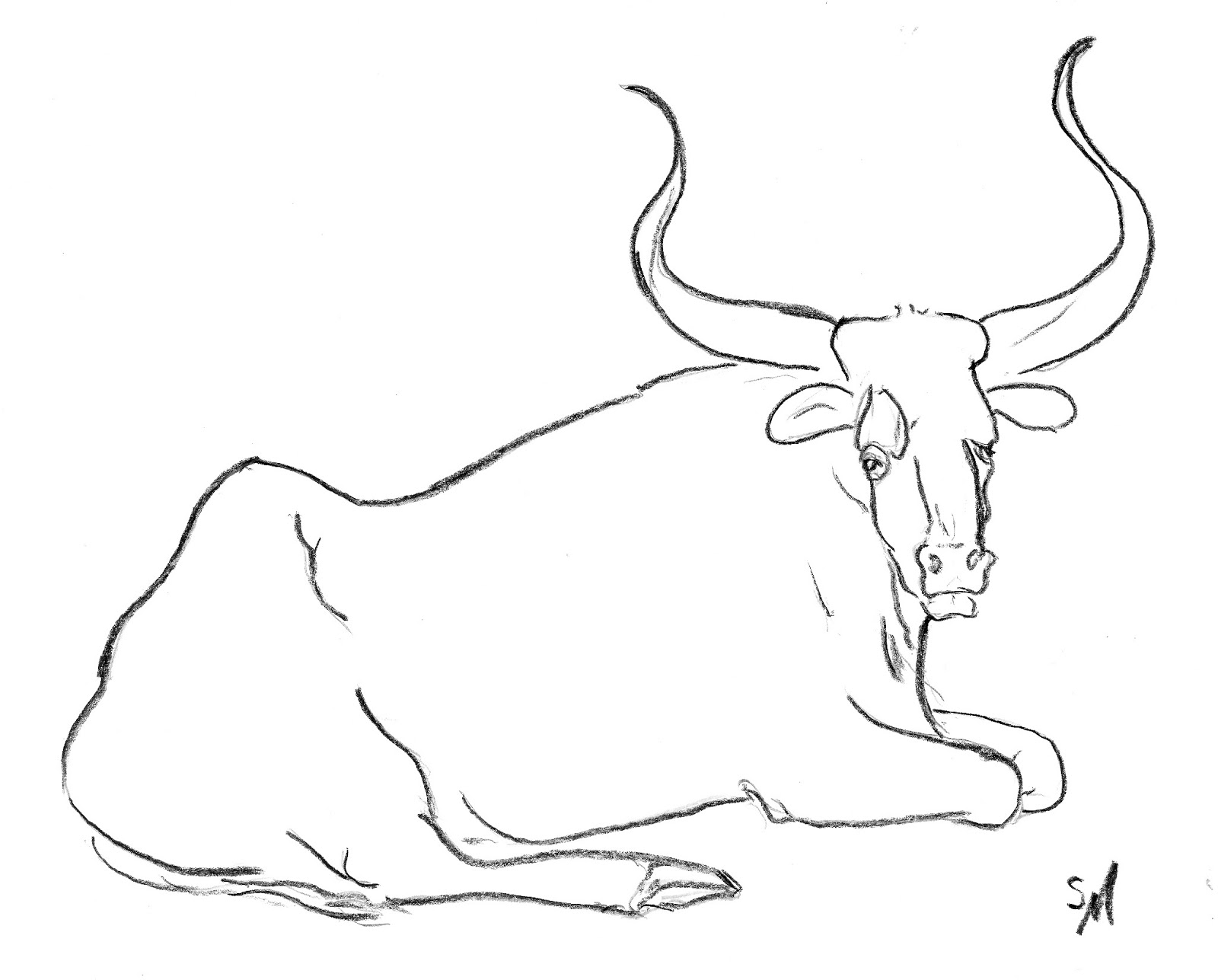 1600x1287 The Other Oeuvre Ox, Charcoal Studies. S. Myers