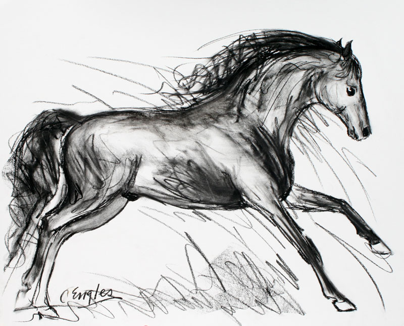 800x645 Valeroso, Stretching Out, Charcoal Drawing By Carol Engles