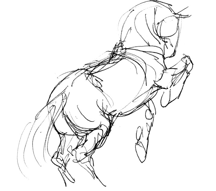 716x632 Horse Sketch Visual Inspiration Sappi Grant