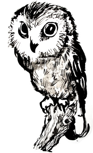305x500 Black Marker Or Ink Or Charcoal Owl Art. Cool Images