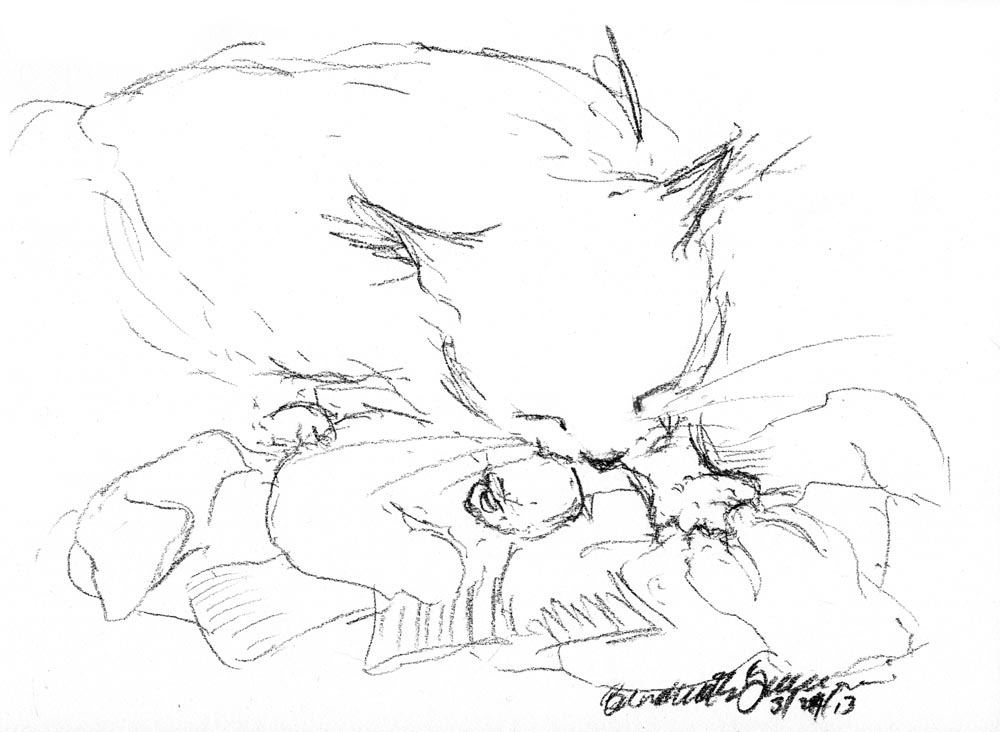 1000x732 Daily Sketch Reprise A Pile Of Socks, 2013 ~ The Creative Cat