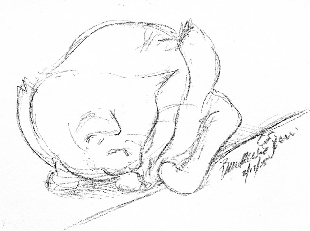 1000x745 Daily Sketch Reprise Sunshine Kind Of Napping, 2015 ~