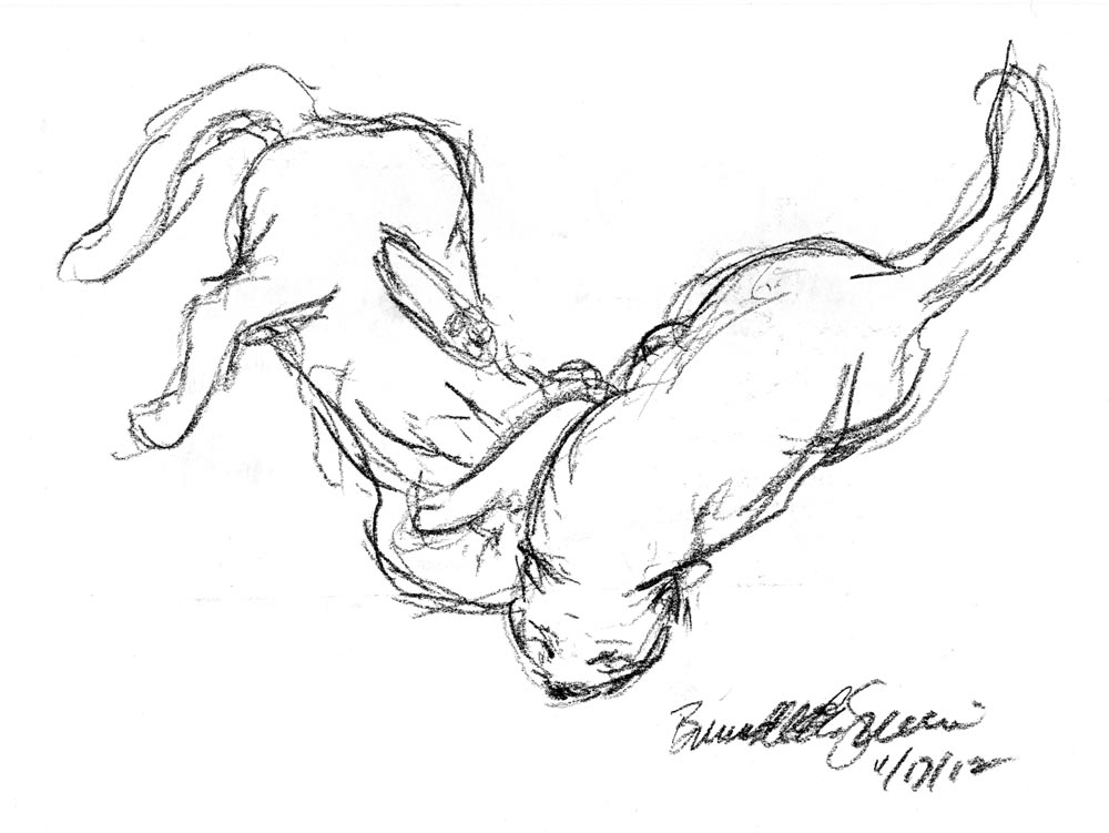 1000x751 Daily Sketch Reprise Wrestling Match ~ The Creative Cat