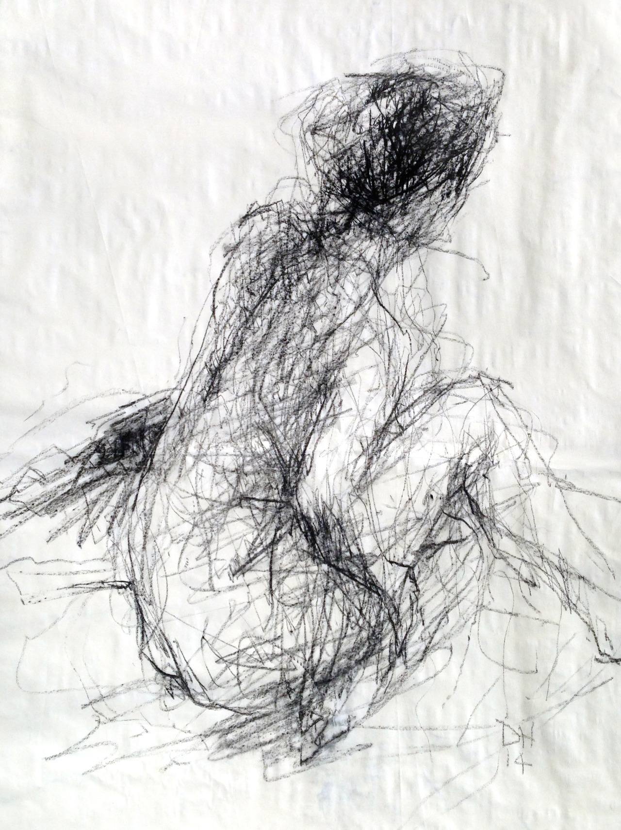 1280x1710 Life Drawing. Willow Charcoal On Paper. Size A0. Drawings