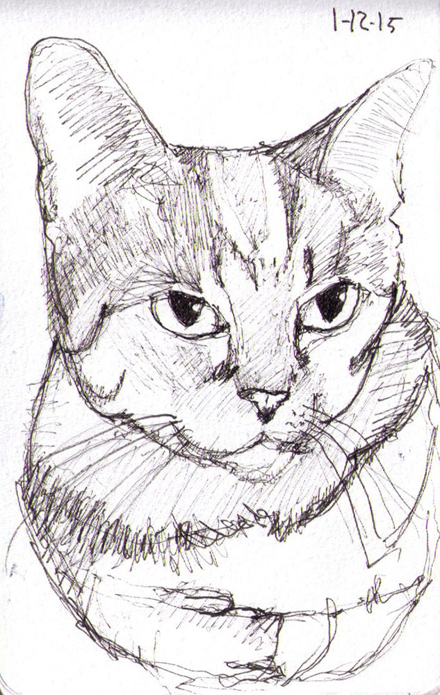 633x1000 Pen Sketch Of Lexi The Cat One Drawing Daily