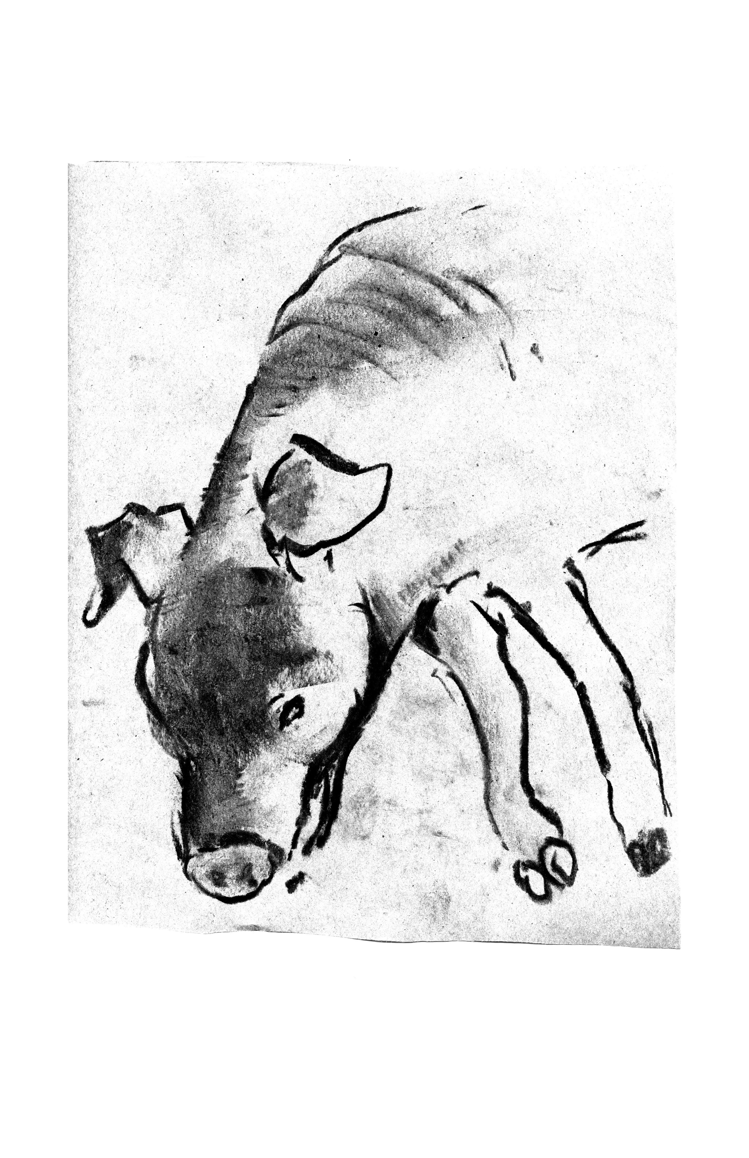 3109x4805 Drawings Forrest Jove