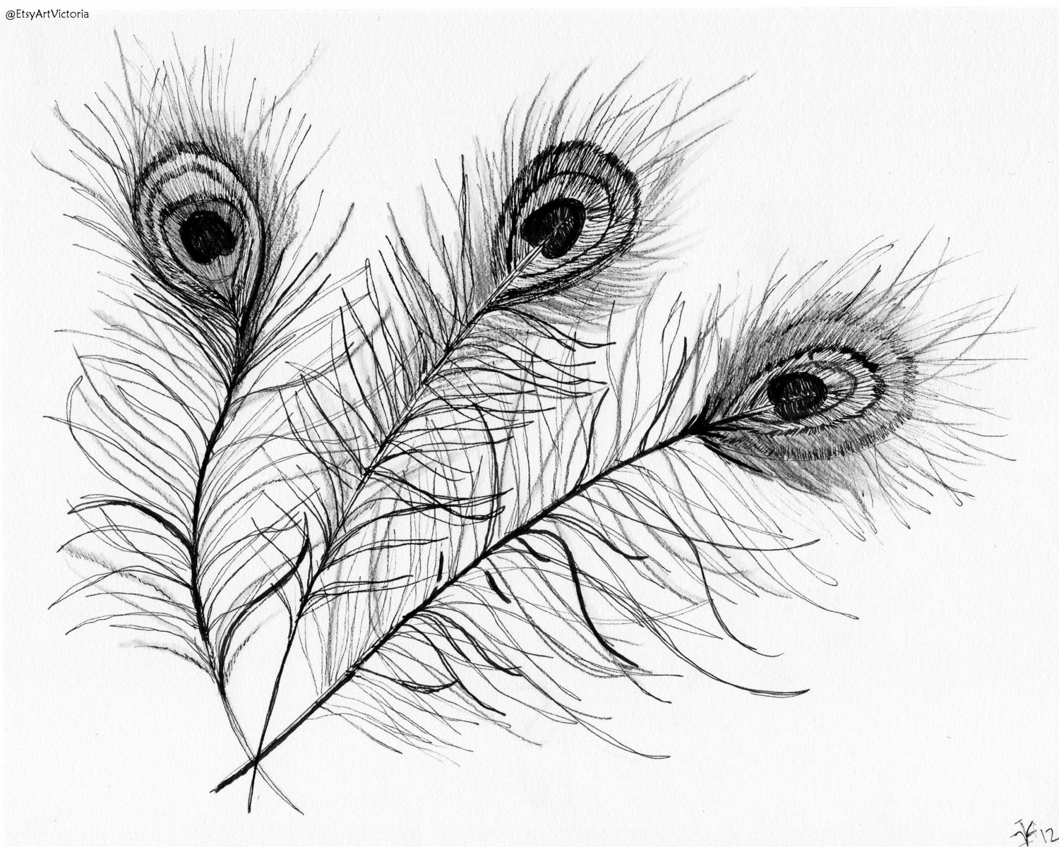 1500x1200 Google Image Result