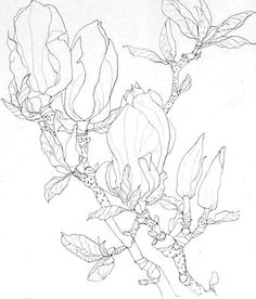 236x276 Contour Line Drawing Doodle Contours, Drawings