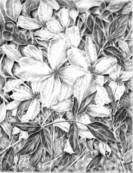 450x582 43 Best Botanical Art Images On Botanical Art