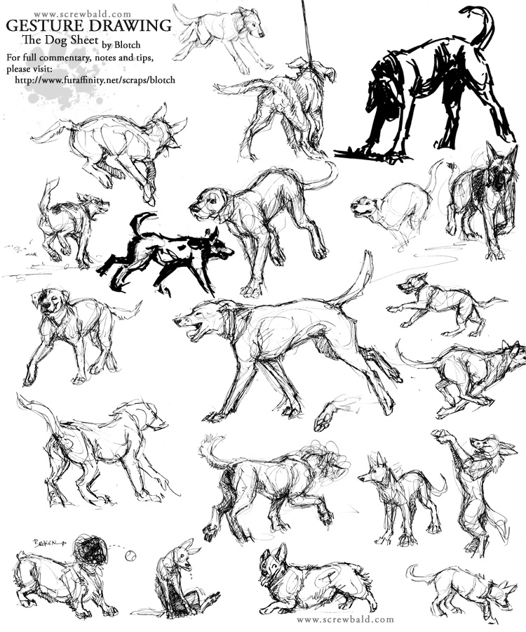 750x900 Gesture Drawing Dogs By Blotch