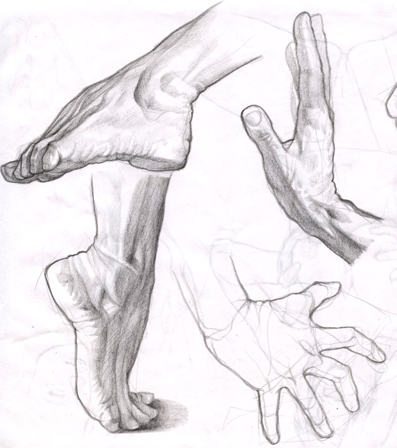800x903 Hand And Foot By Molybdenumgp03