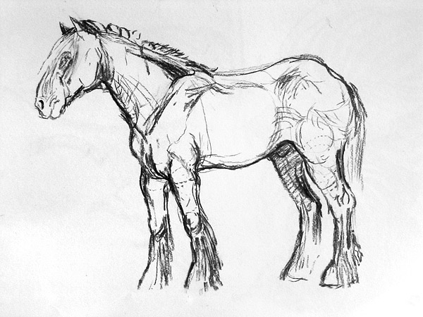 600x450 Drawing Sadie Brockbank Mrbs