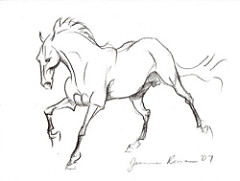 240x181 The World's Best Photos Of Pencil And Stallion