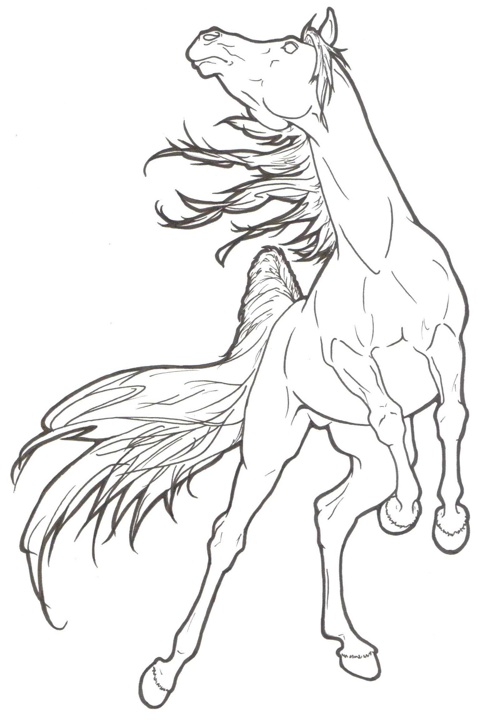 1539x2306 The Main Drawing That Shaped The Pose For The Horse Tattoos
