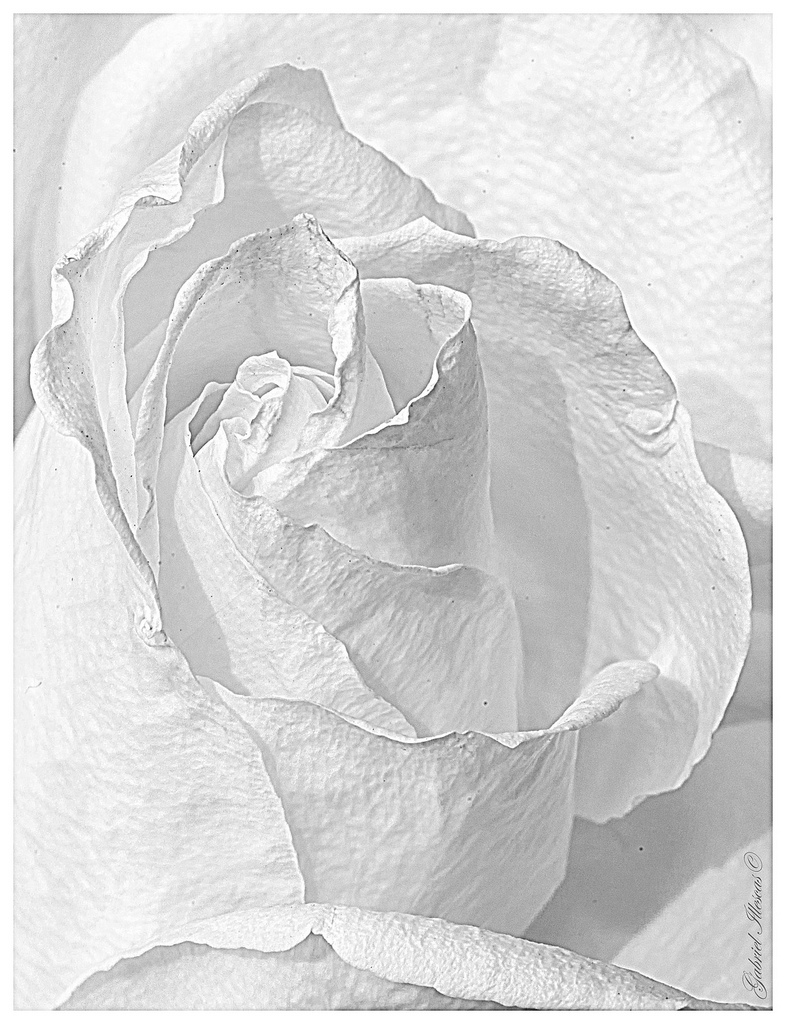 786x1024 Value Drawing