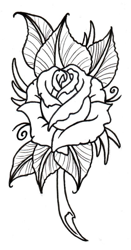 421x800 Rose Drawing Clip Art