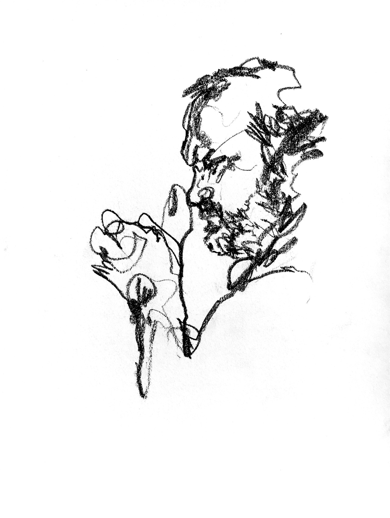 1280x1700 Mount Vision