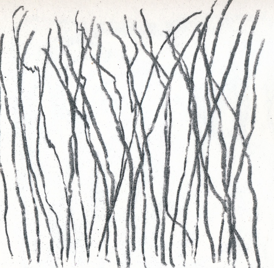 901x880 Using Charcoal Paint Draw Create