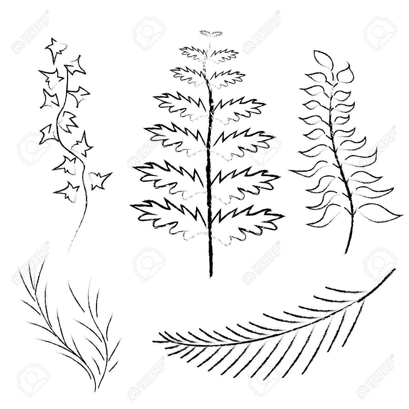 1300x1300 Various Branches Drawn In Pencil And Charcoal Vector Illustration