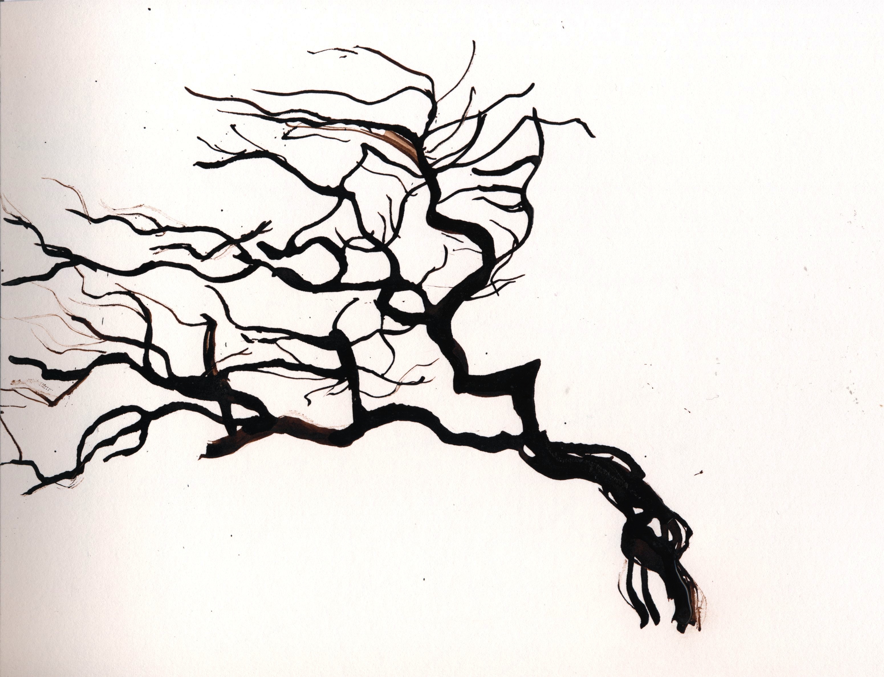 3101x2376 Charcoal Archives