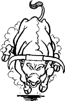 226x350 Design Your Own Graphic General