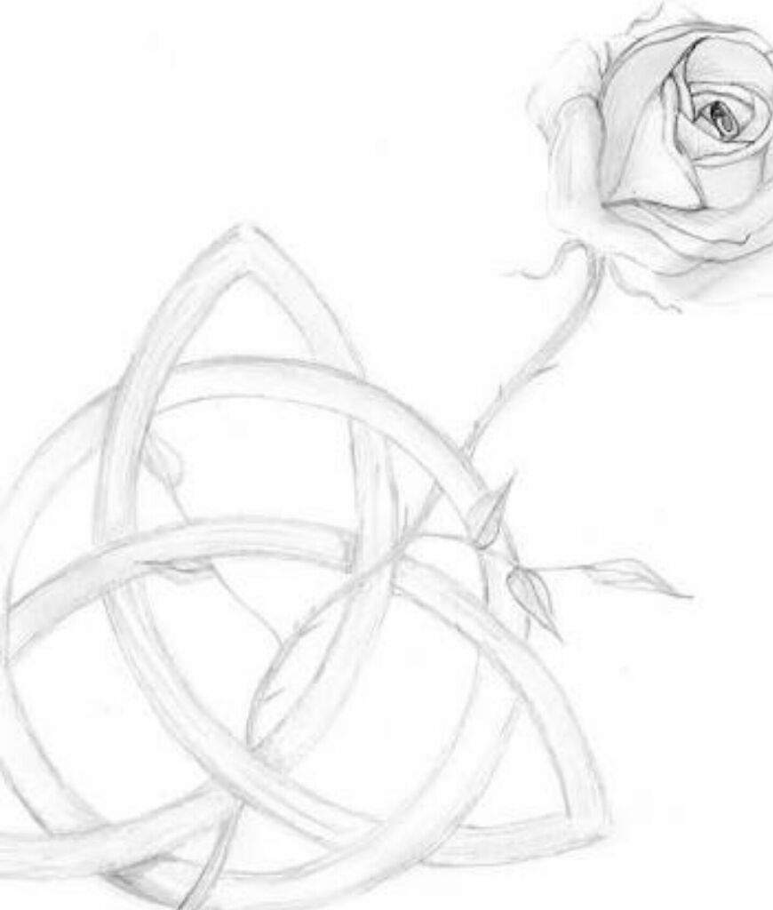 870x1024 Weekend Challenge Charmed Amino