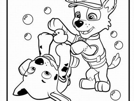 440x330 Paw Patrol Cat Coloring Pages