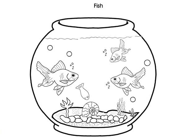 600x450 Cheap Fish Tank Coloring Page