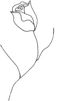 200x347 How To Draw A Rose Drawings How To Draw, To Draw