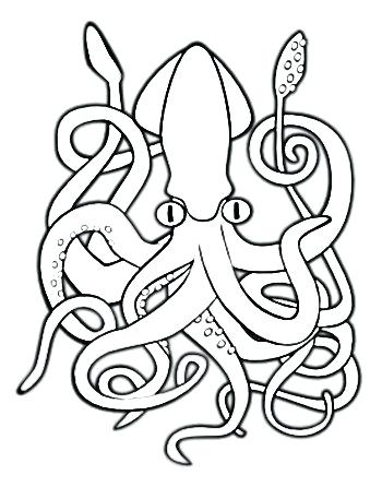 350x446 3d Checkers Coloring Page Marine Animal Coloring Pages Squid
