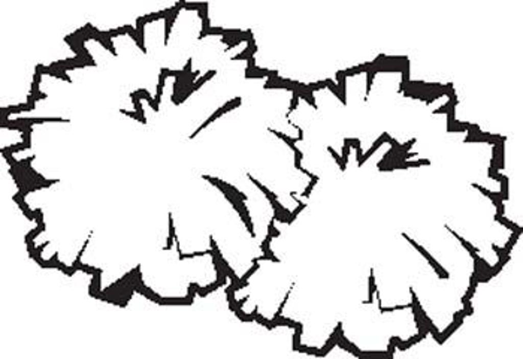 1024x702 Hs Cheerleading