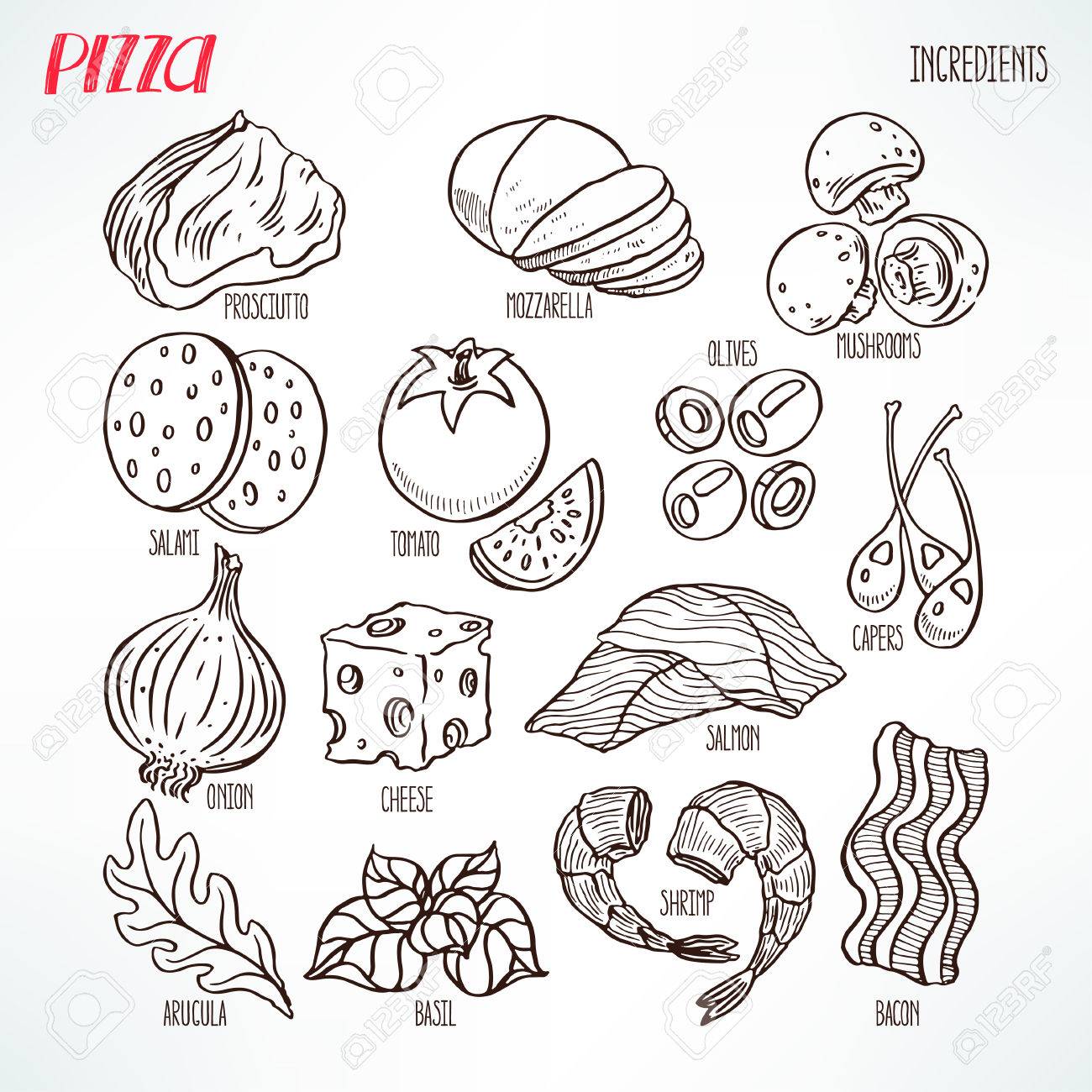 1300x1300 Pizza Sketch Ingredients. Bacon, Greens, Cheese, Tomatoes. Hand