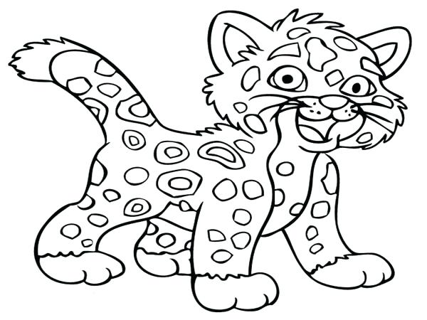 600x450 Cheetah Coloring Pictures