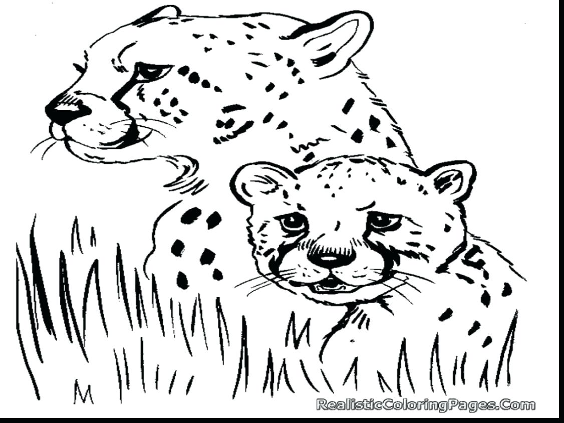 1126x844 Coloring Cheetah Coloring Sheet Beautiful Printable Pages