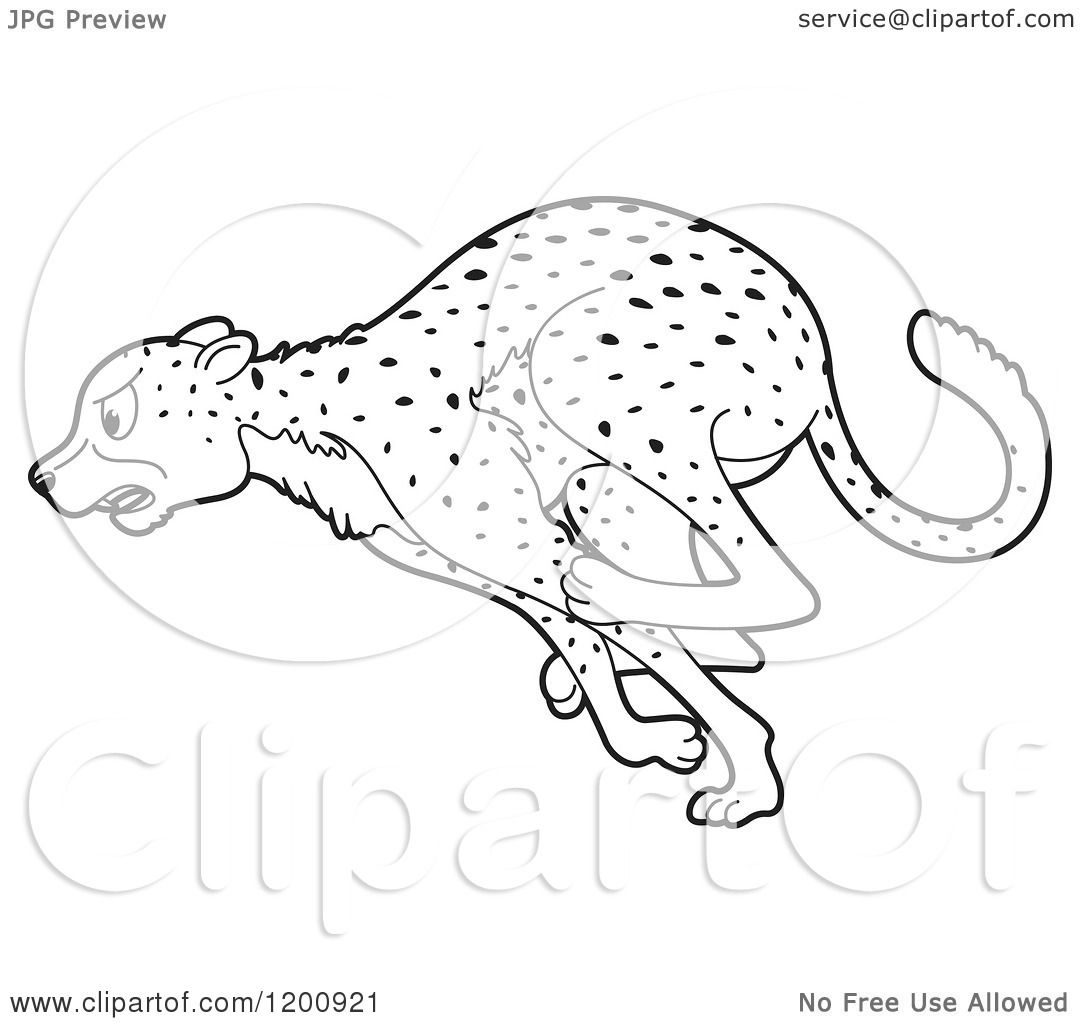 1080x1024 Cartoon Of A Black And White Outlined Running Cheetah