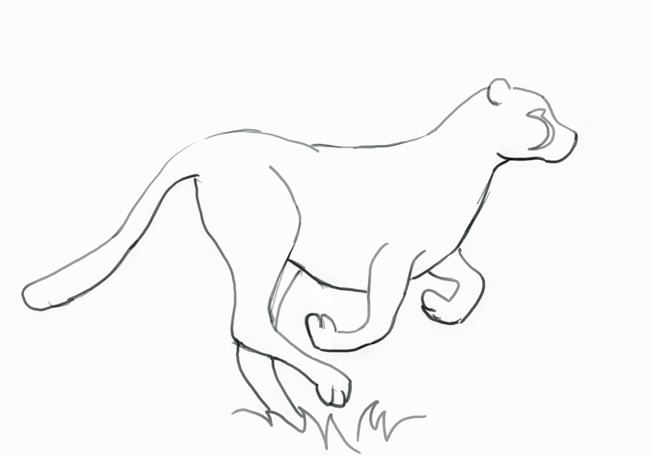 1300x912 Cheetah Cartoon Drawing How To Draw A Cheetah