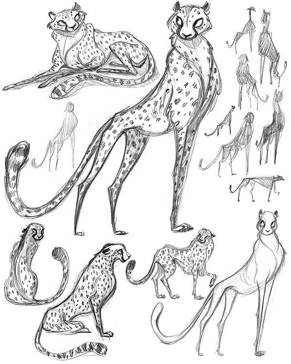 600x750 Cheetah Character Design Process On Behance Illustration