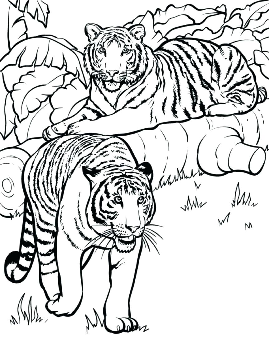 863x1098 Inspiring Cheetah Coloring Pages To Print 29