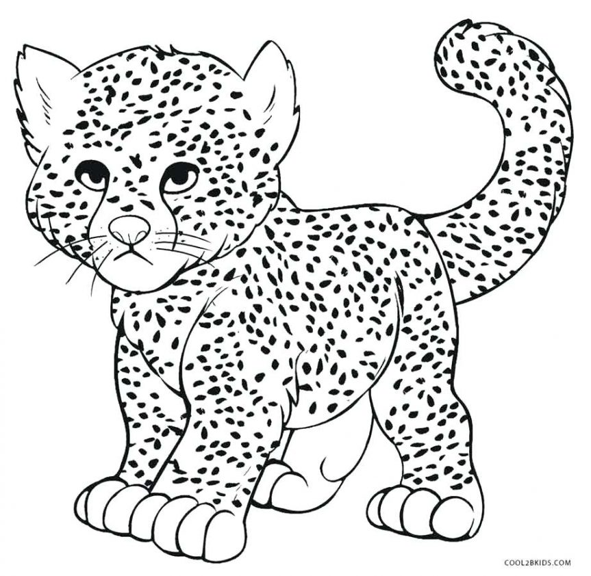 863x842 Cheetah Hide Under The Grass Coloring Page With Color Pages