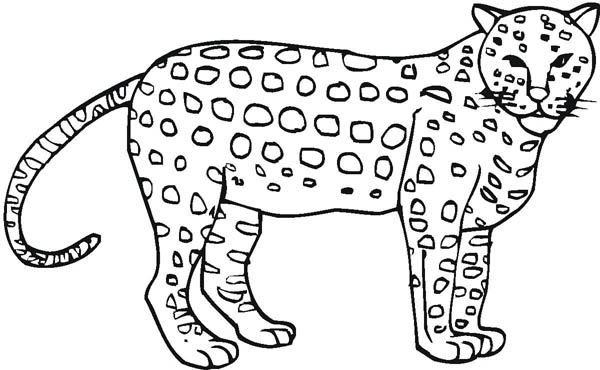 600x370 Appealing Cheetah Coloring Pages 54 With Additional Free Coloring