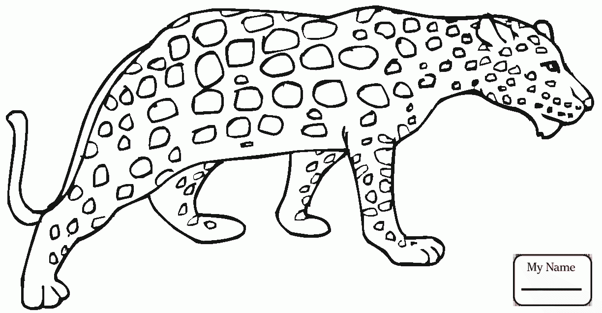 1224x636 Coloring Pages Cheetah Mammals Baby Cheetah