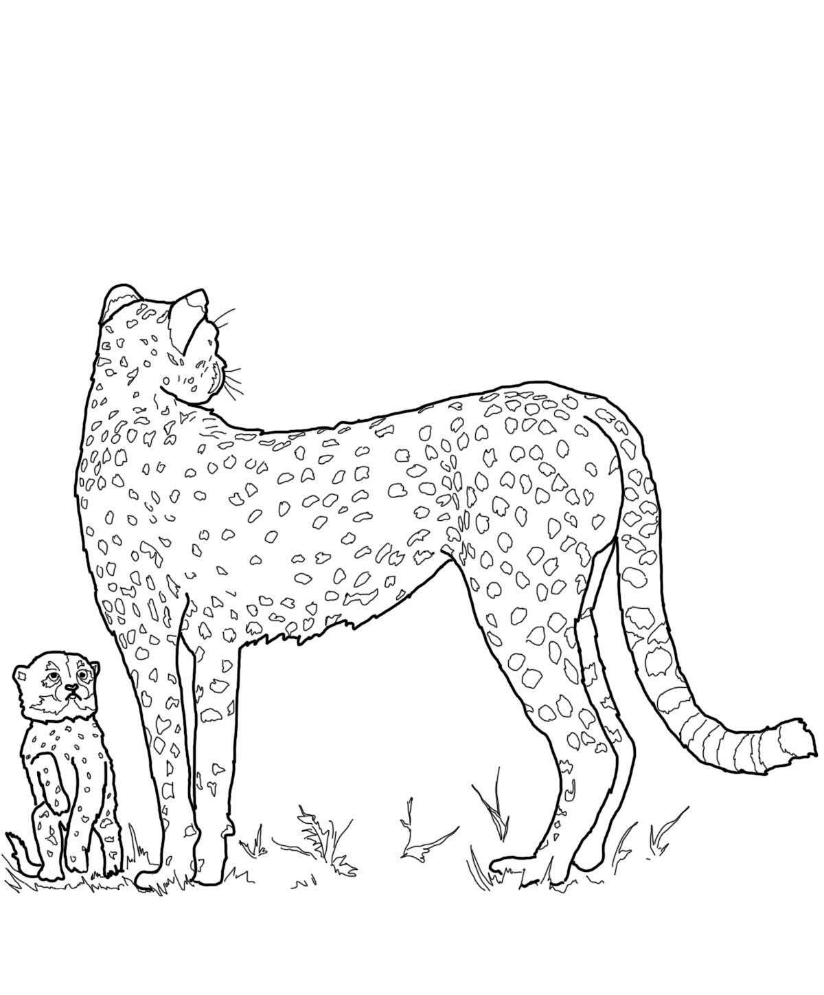 1200x1448 Cheetah Coloring Pages Kids Kids Coloring Pages Of A Cheetah