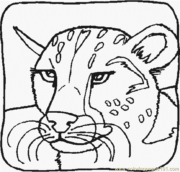 600x574 Cheetahr Coloring Page