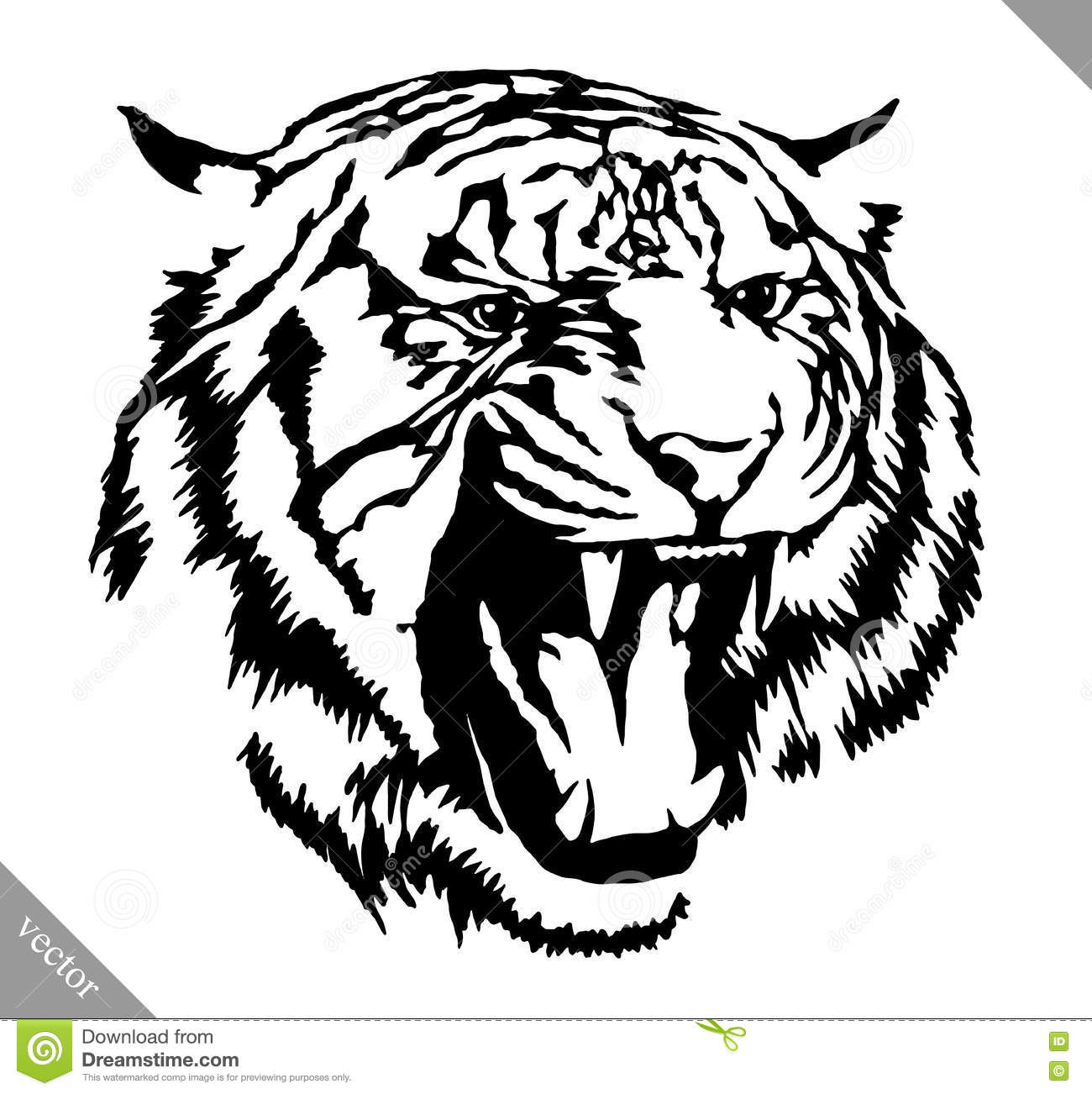 1300x1302 Drawn White Tiger Cheetah