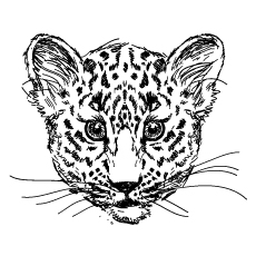 230x230 Top 25 Free Printable Leopard Coloring Pages Online
