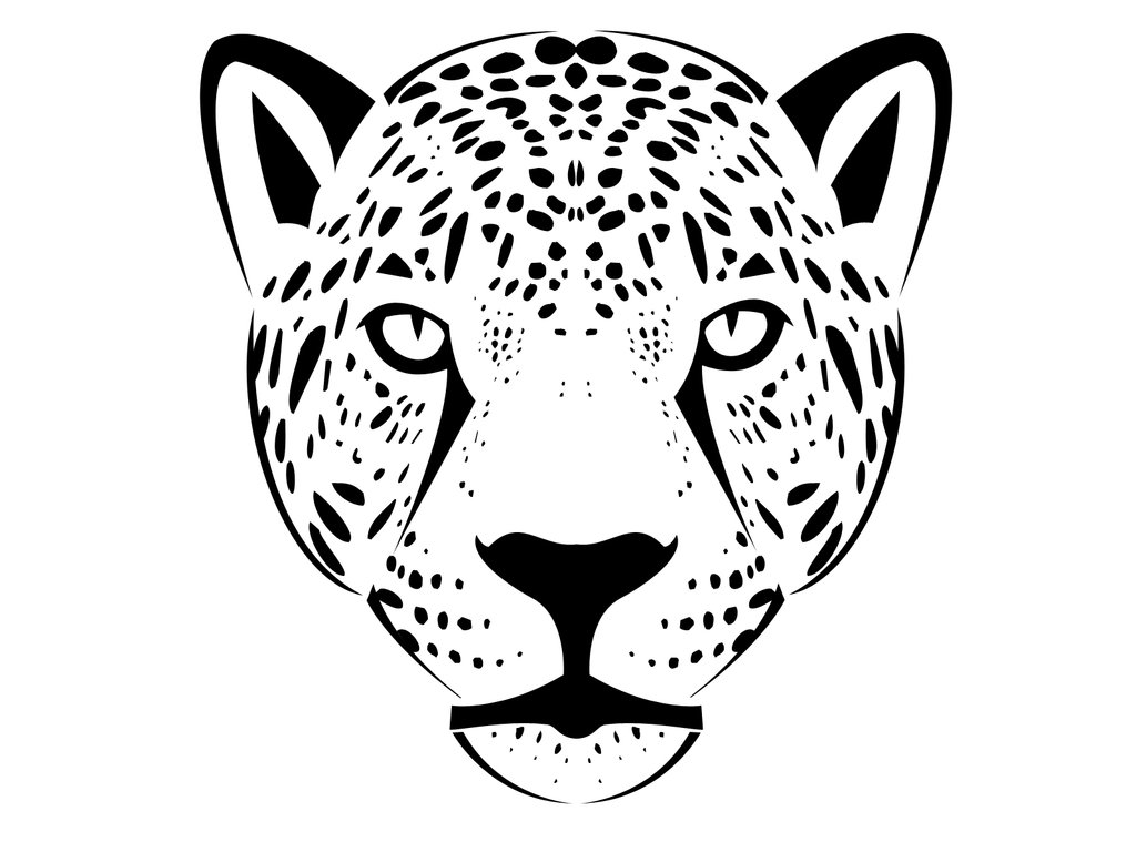 1024x768 How To Draw A Jaguar Using Graphite Pencils. How To Draw A Jaguar