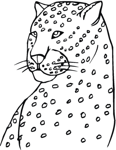 373x480 Cheetah Head Coloring Page Free Printable Coloring Pages